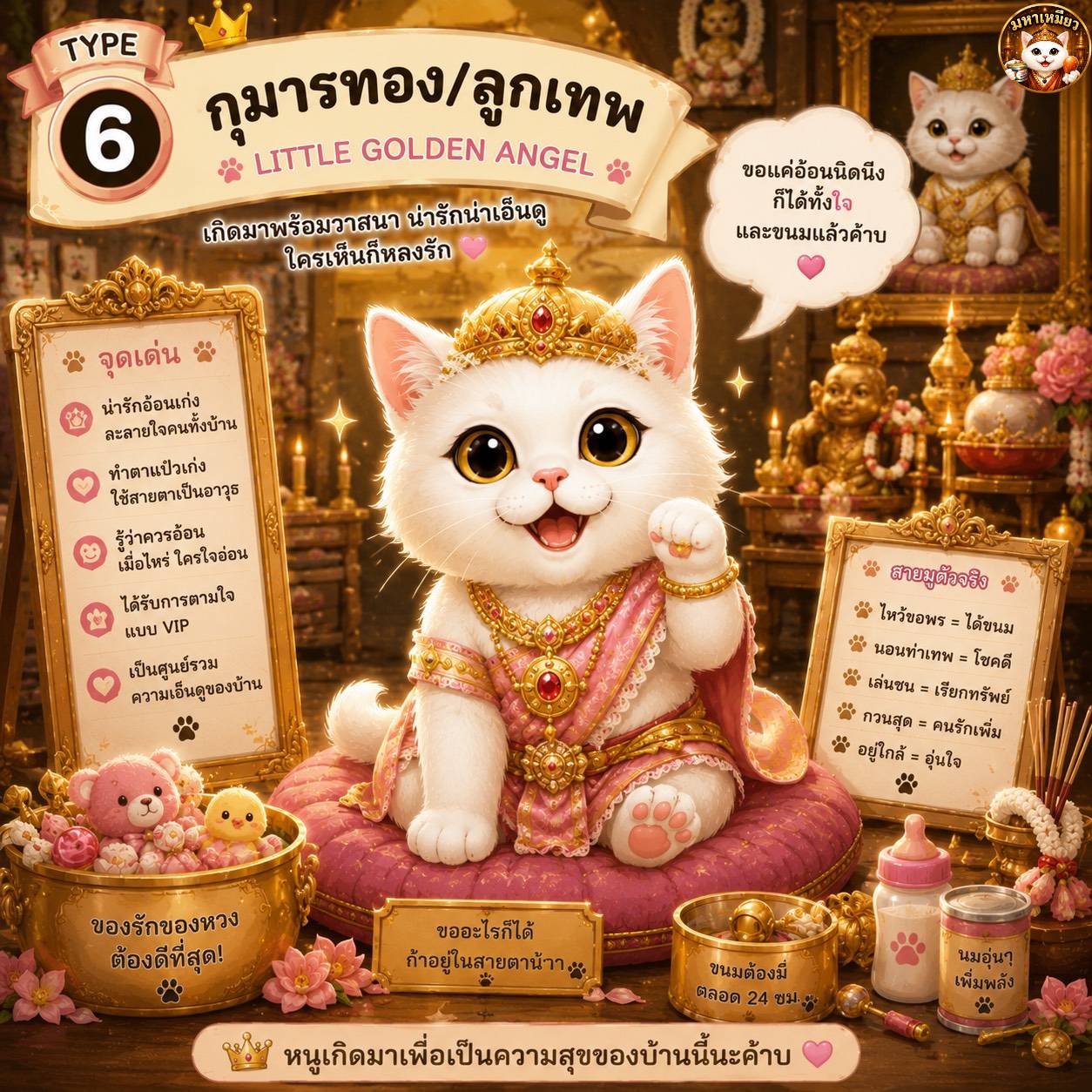 ไทป์ กุมารทอง/ลูกเทพ — การ์ดบุคลิกแมว mahameow